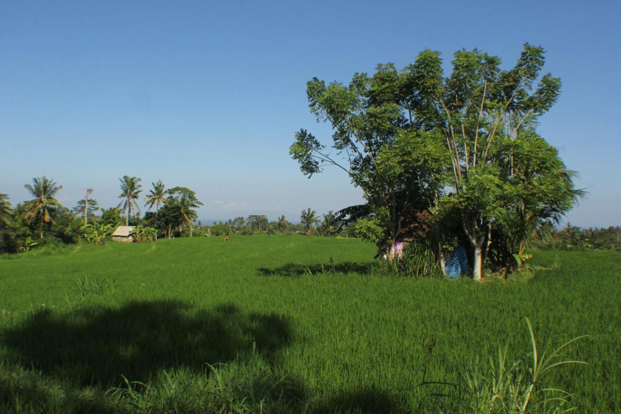 Telagamas Guest House Banjarangkan Exteriör bild