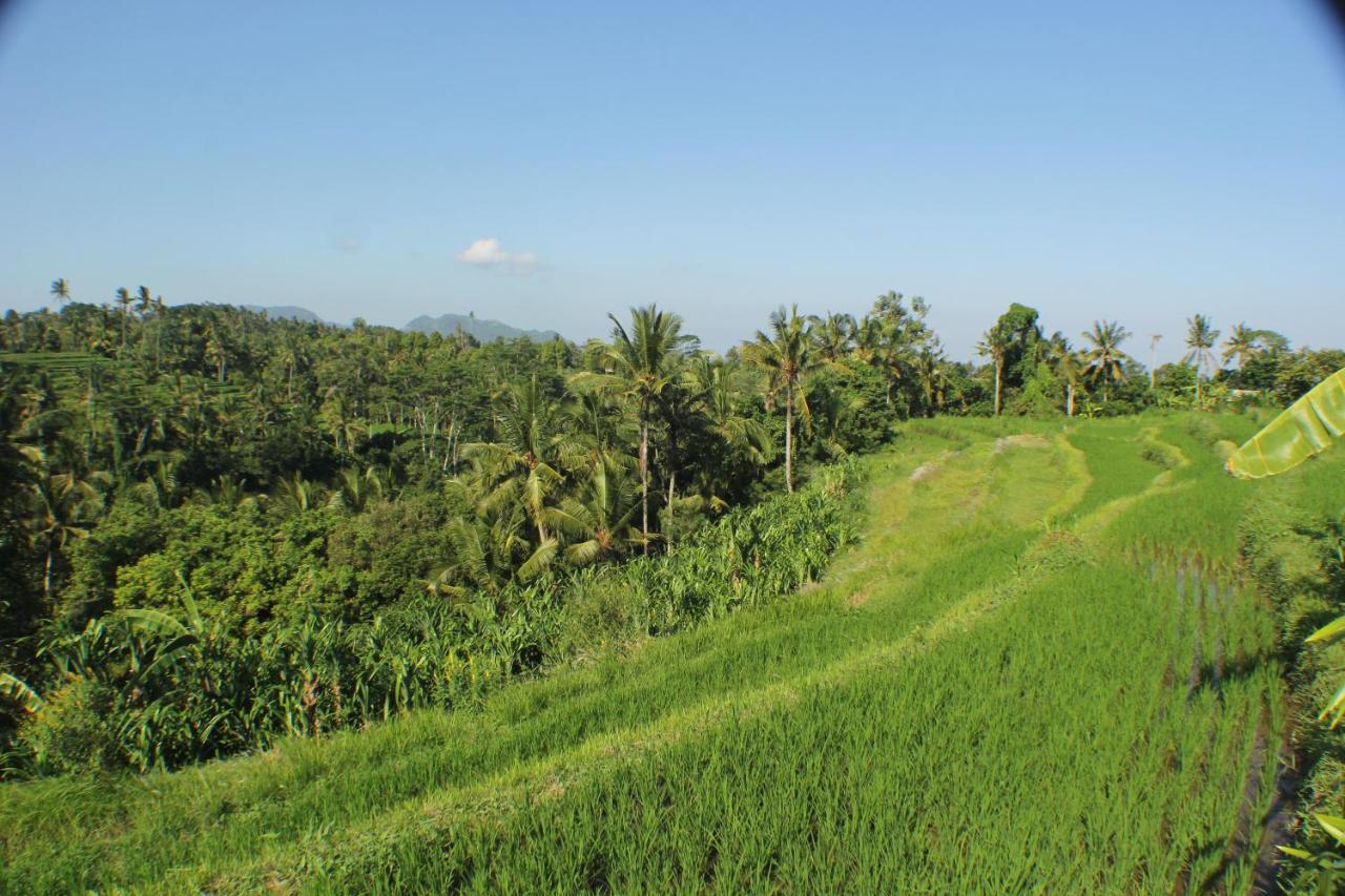 Telagamas Guest House Banjarangkan Exteriör bild