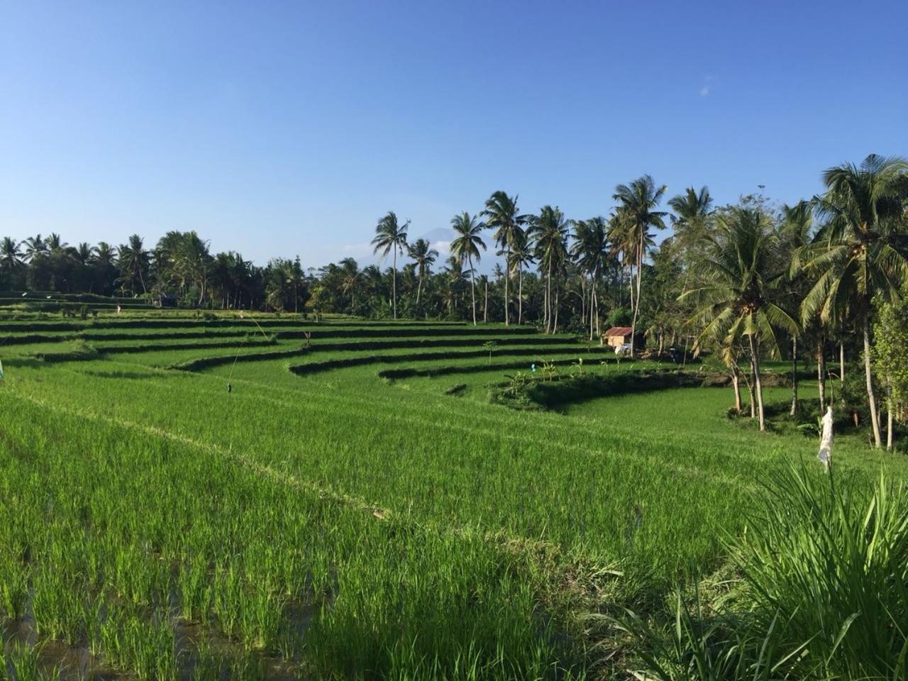 Telagamas Guest House Banjarangkan Exteriör bild